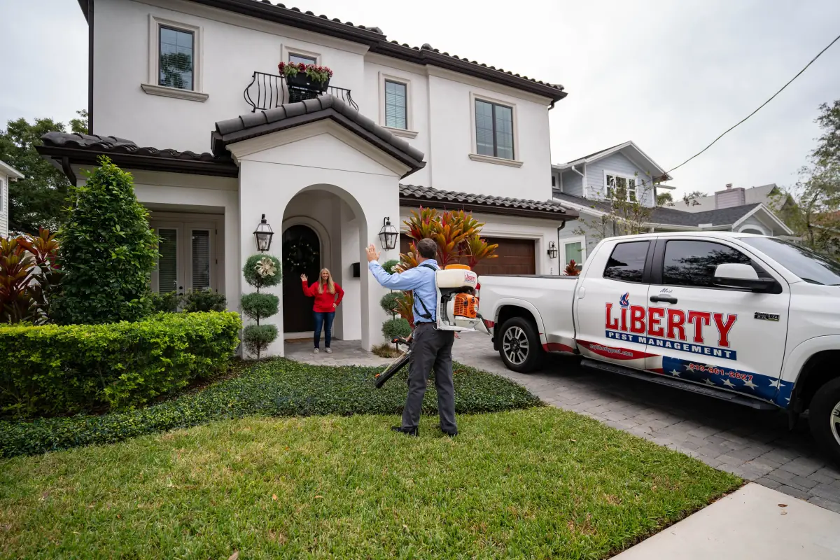 What to Expect from Professional Pest Control in Tampa
